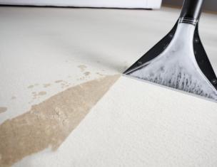自宅で自分でカーペットを掃除する方法：方法、ツール、ルール