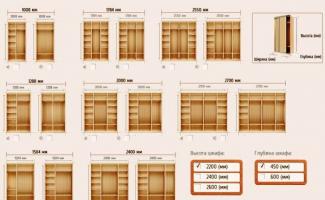 Pilihan untuk pengisian internal lemari geser: foto, fitur, kriteria pemilihan